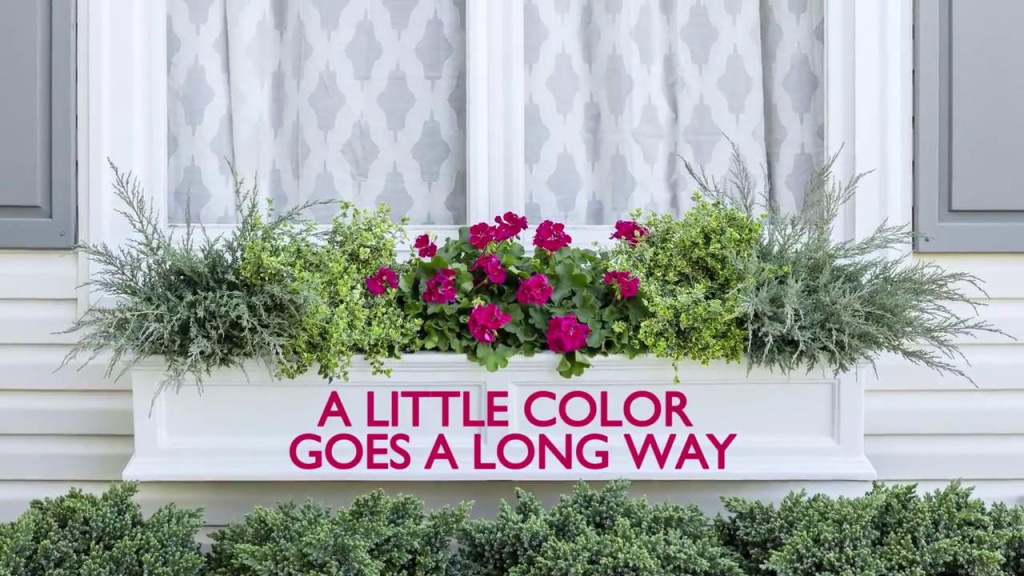 White window box with evergreens and colorful annuals with text that reads, "A Little Color Goes a Long Way."