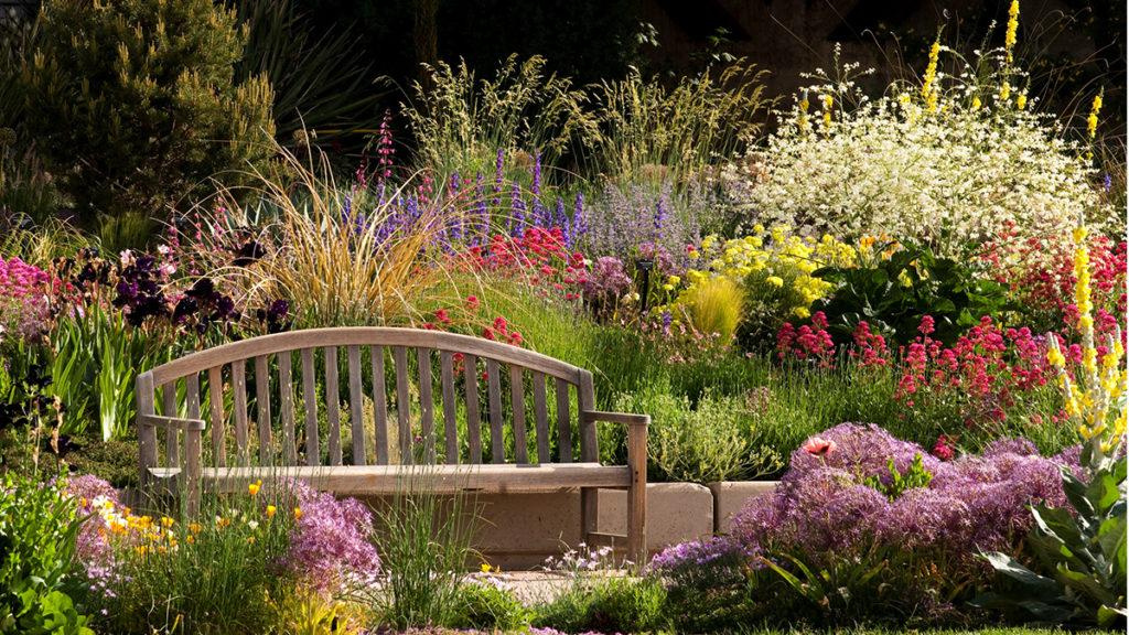 Botanic garden with a wooden bench surrounded by a variety of water-wise plants such as lavender and tall grass.