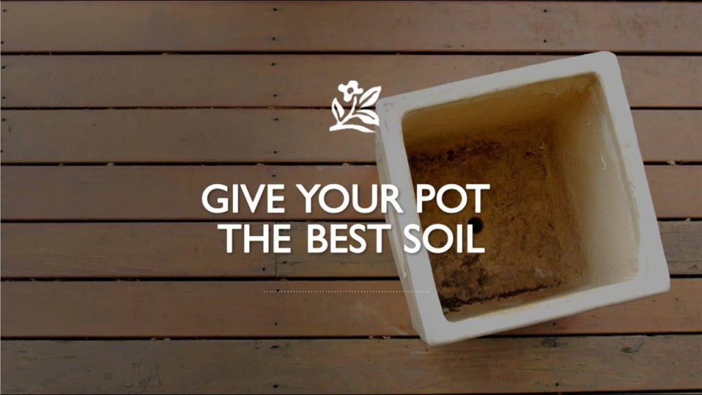 Aerial view of the inside of a yellow pot sitting on a table with text that reads, "Give your Pot the Best Soil."