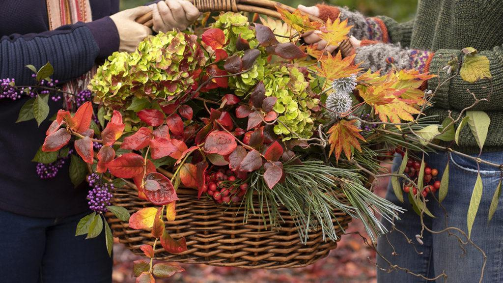 Two people holding a woven basket filled with a variety of colorful, Fall inspired plant trimmings perfect for holiday gifts.