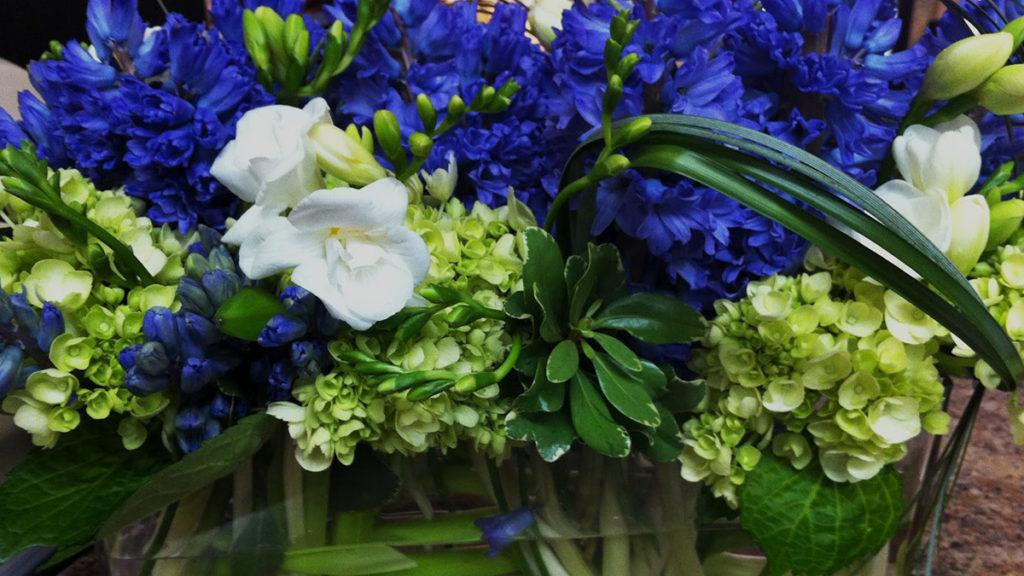 Hydrangea arrangement with various flowers such as agapanthus (blue flower), mock orange (variegated leaf) and freesia.