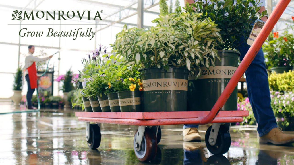 Various green plants and flowers in Monrovia pots on a cart with text that reads, "Monrovia Grow Beautifully."
