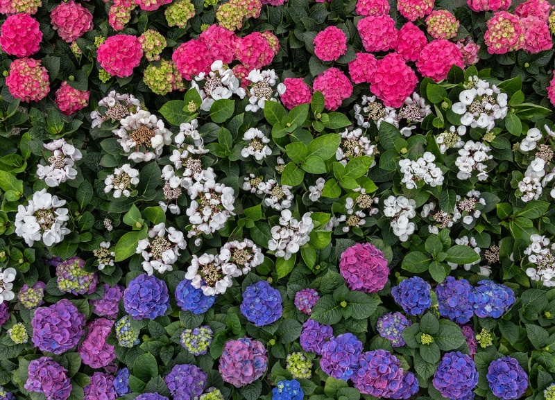 What Makes a Landscape Legend Last