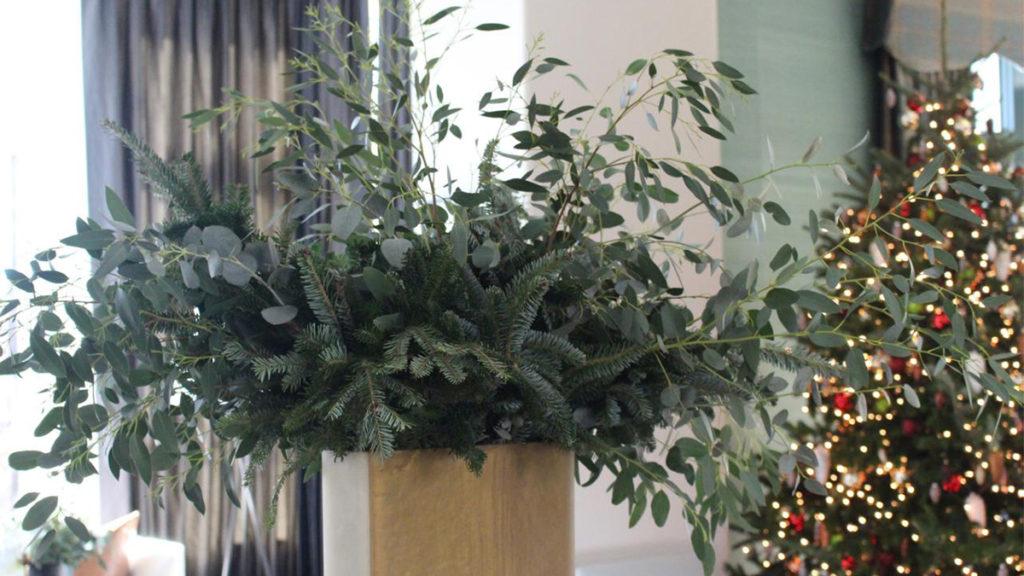 Winter Decorating with Evergreen Clippings