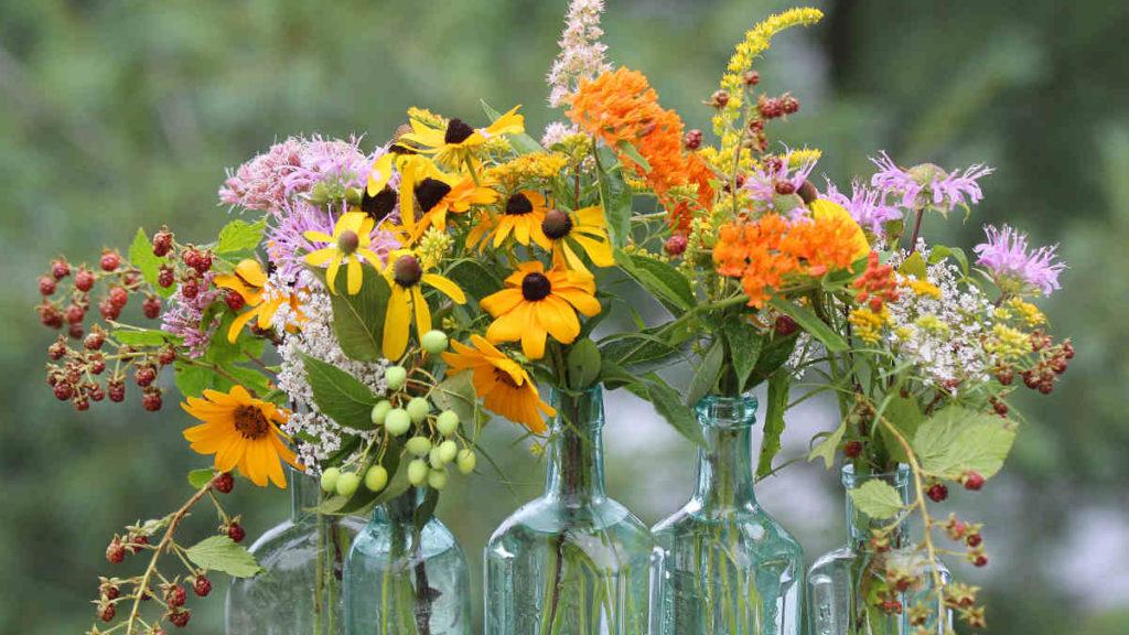 Different types of flowers in glass vases featuring the Goldsturm Black-Eyed Susan flower.