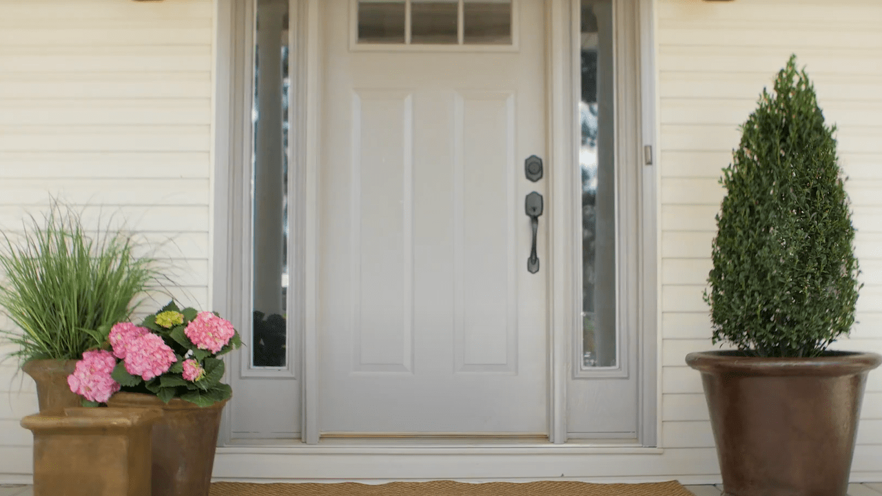 White front door with four different potted plants including a tall evergreen, pink hydrangea flowers, and textured grass.