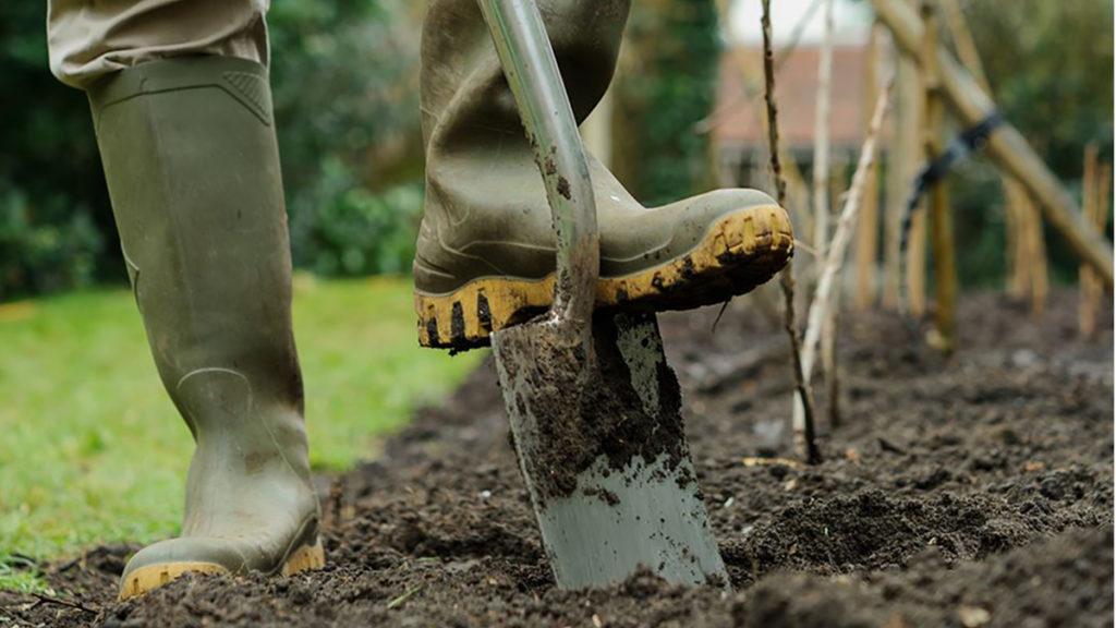 Close-up of gardener wearing rubber boots and using a shovel to dig into the dirt.