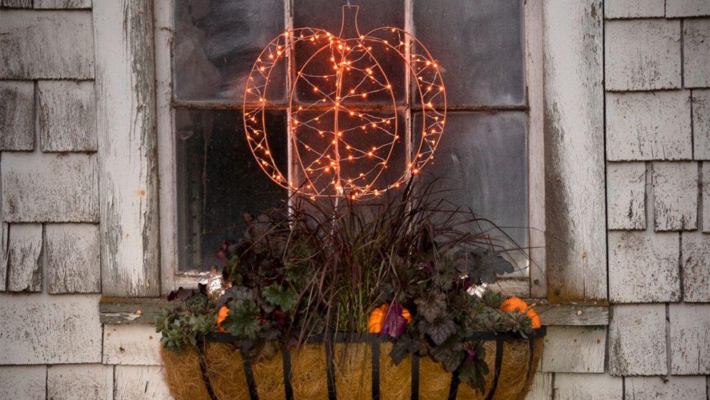 Halloween window box with dark Coral Bells in the center and a light up pumpkin above it. Other plant details outlined below.