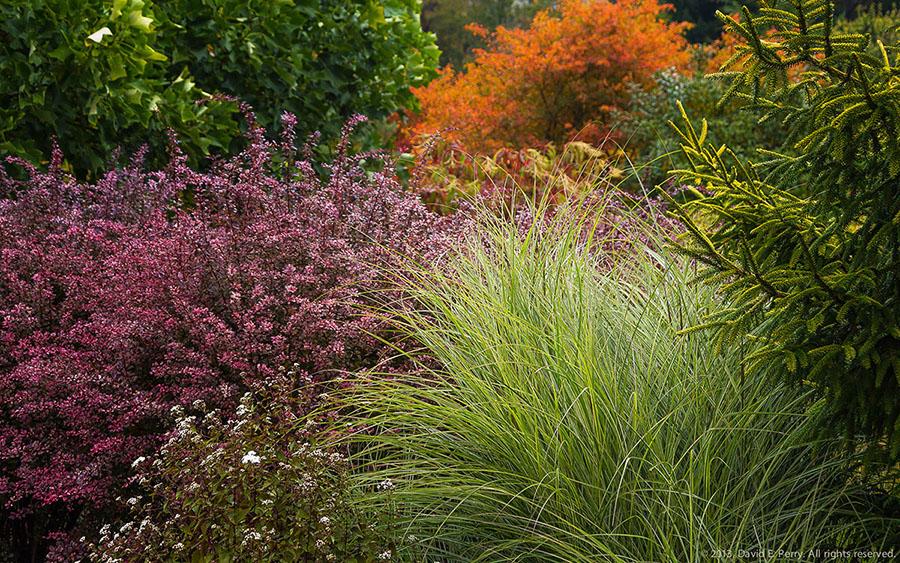 The Luxe of Layers: A Look into this Hillside Garden