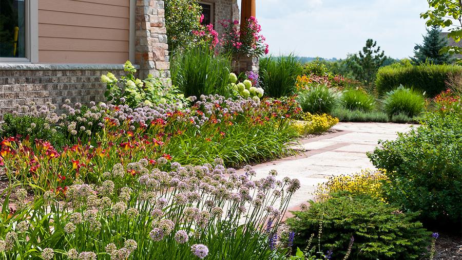 Curb Appeal Solutions: Dealing with Hardscape