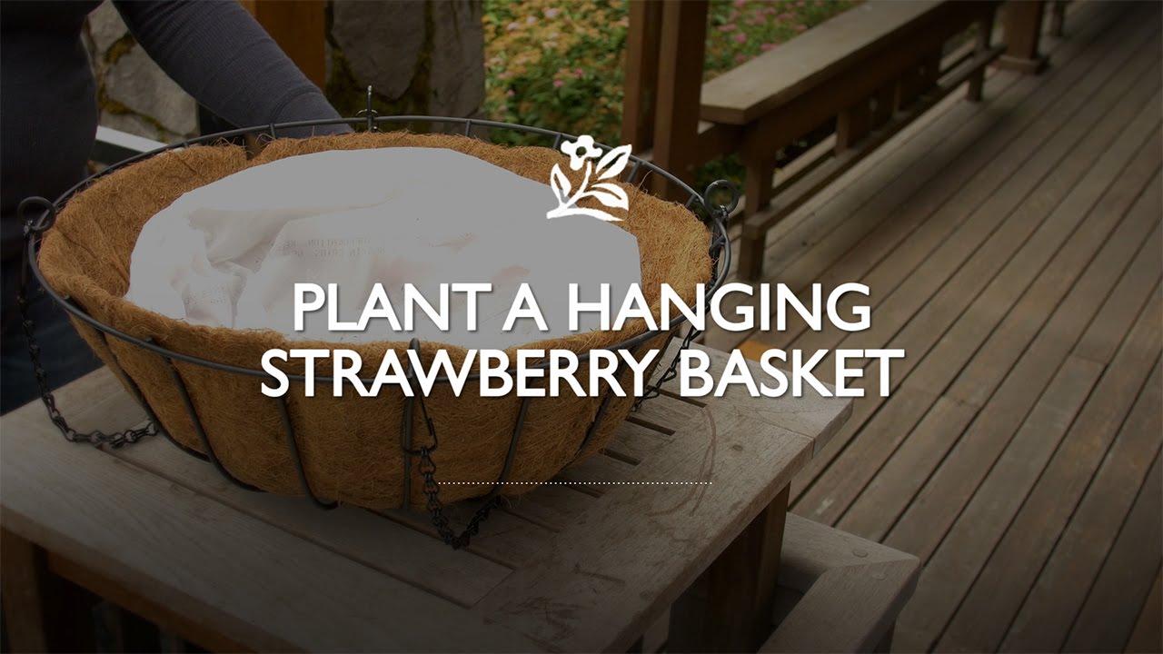 Beginning steps of creating a strawberry basket with text that reads, 