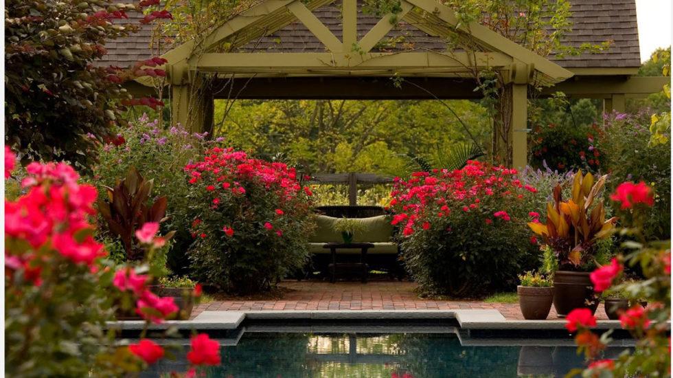 Backyard landscape with a brown building and pool surrounded by potted plants and red roses.