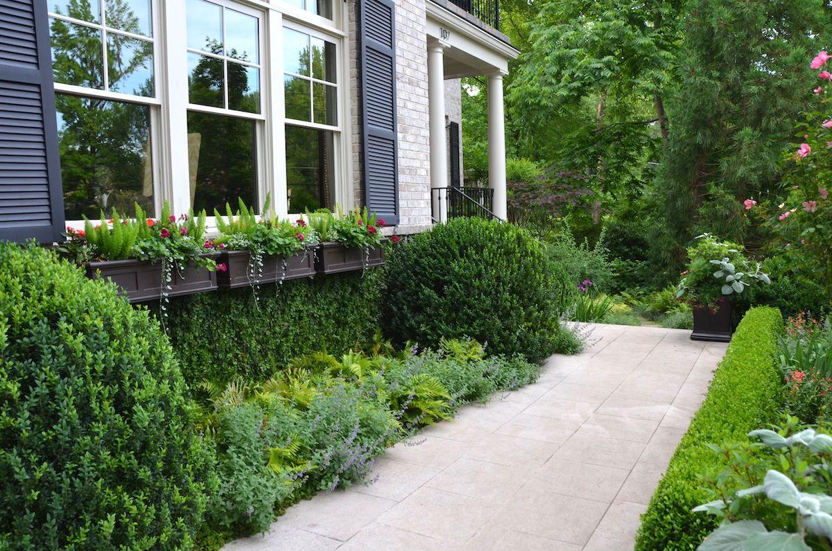 Side of house featuring a window box as well as a pathway lined with a mix of boxwoods, ferns and perennials.