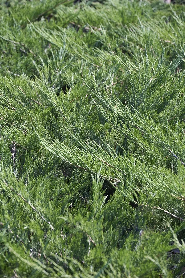 ©Monrovia, by Brandon Friend-Solis