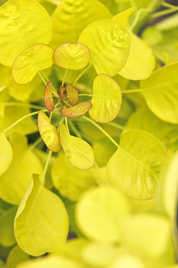 ©Monrovia, by Doreen Wynja