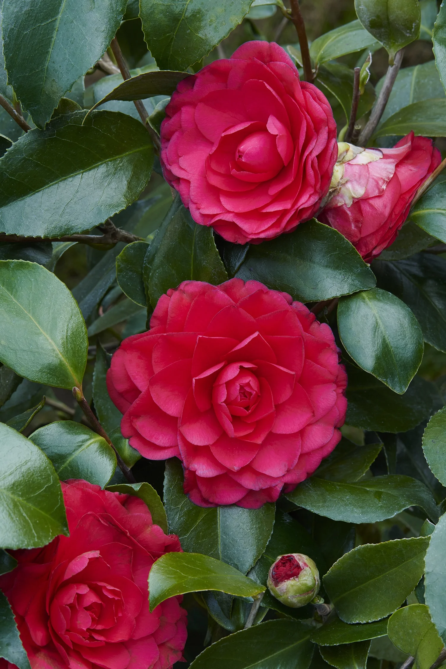 ©Monrovia, by Brandon Friend-Solis