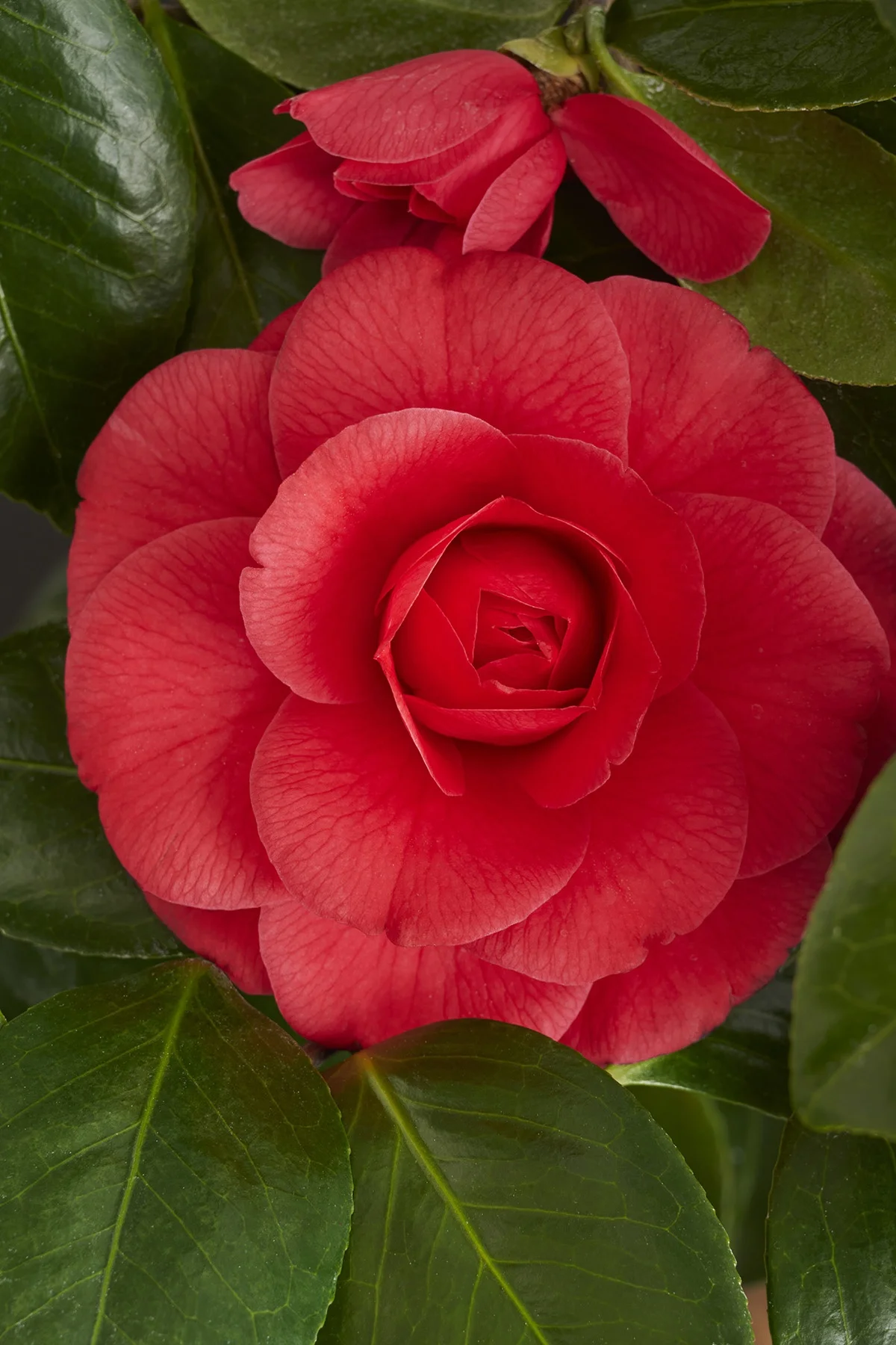 © Monrovia by Brandon Friend-Solis