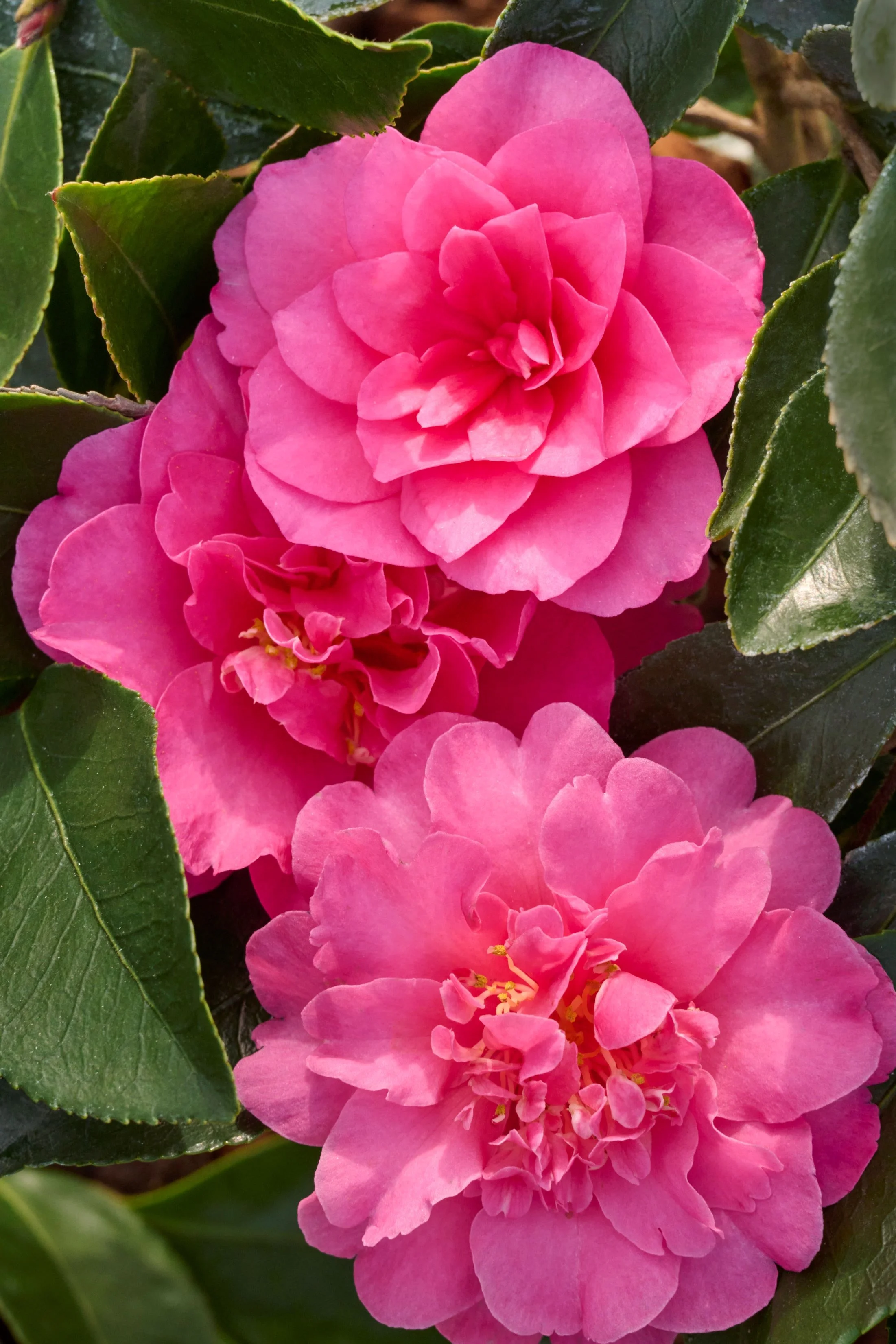 © Monrovia by Brandon Friend-Solis