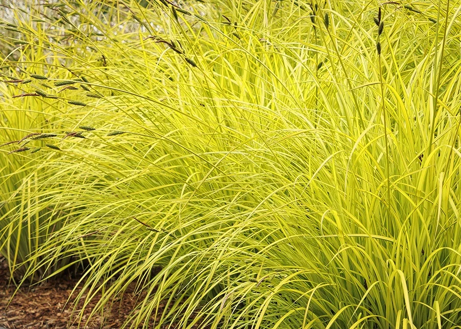 ©Monrovia, by Doreen Wynja