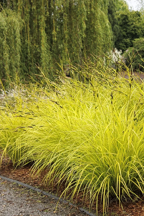 ©Monrovia, by Doreen Wynja