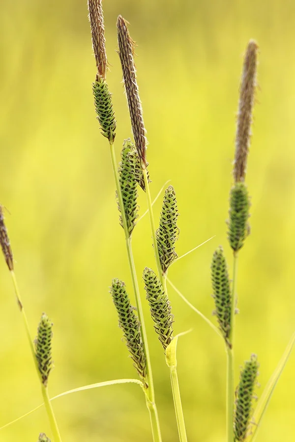 ©Monrovia, by Doreen Wynja