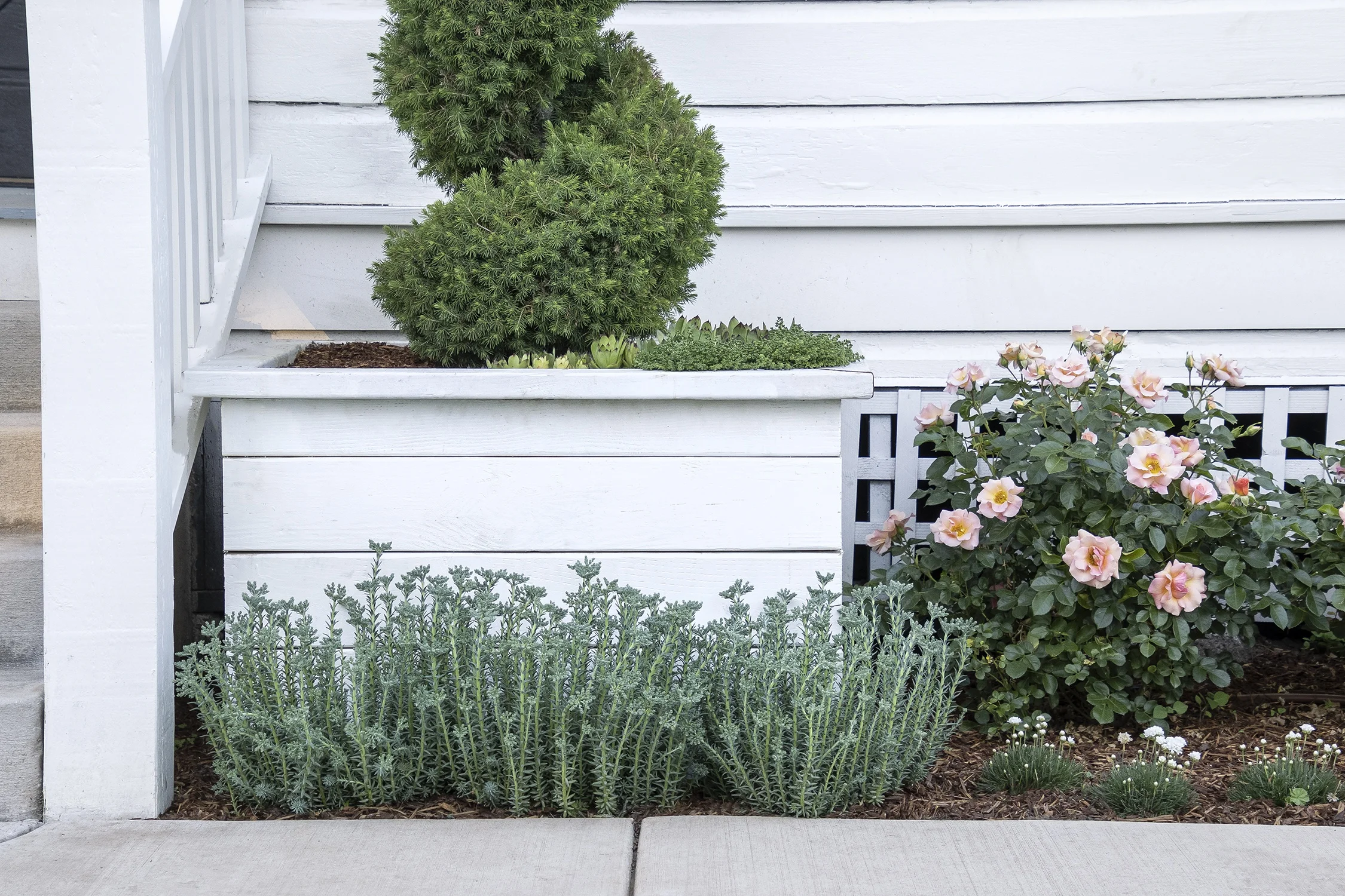 ©Monrovia by Doreen Wynja