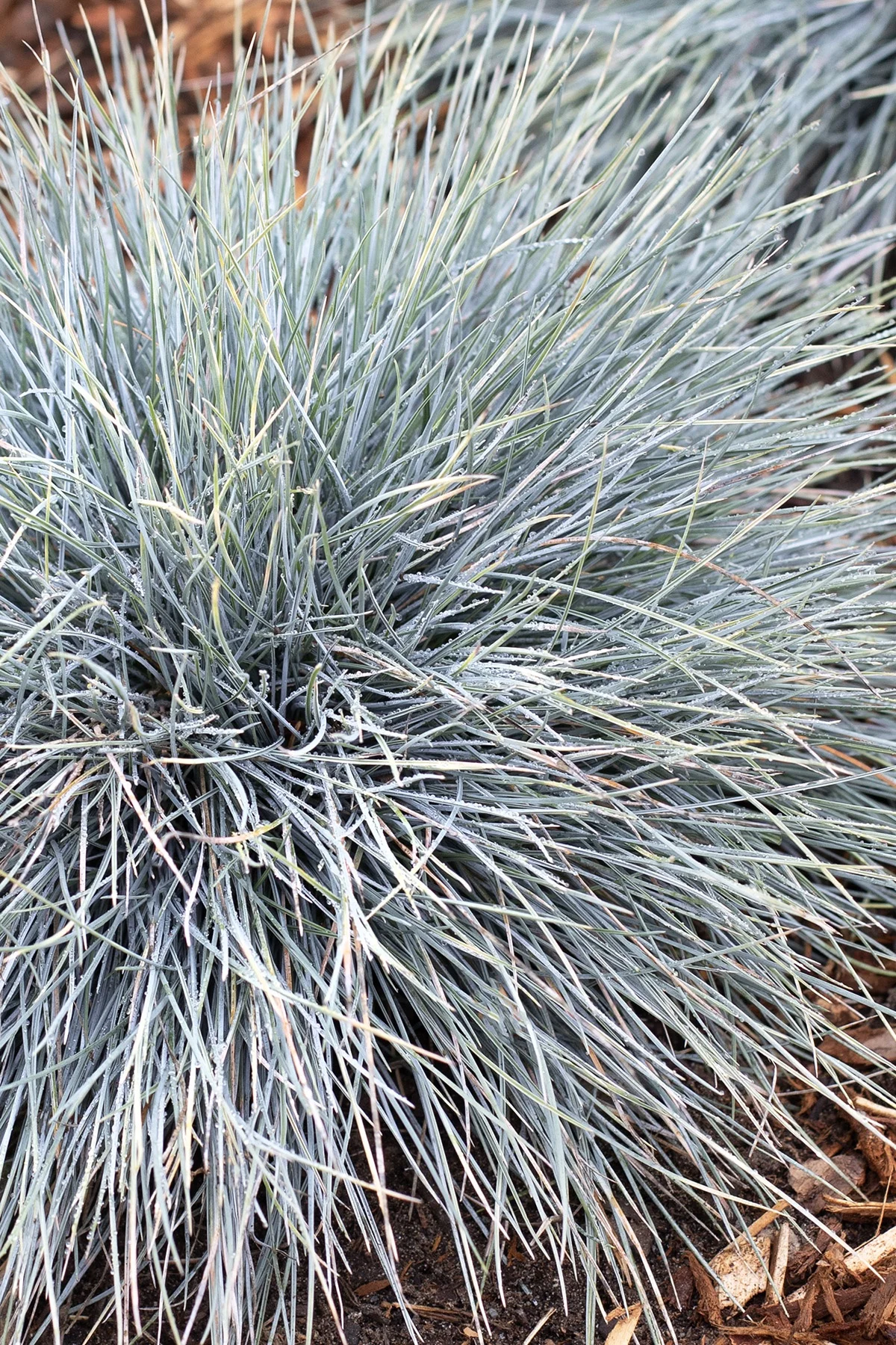 © Monrovia by Doreen Wynja