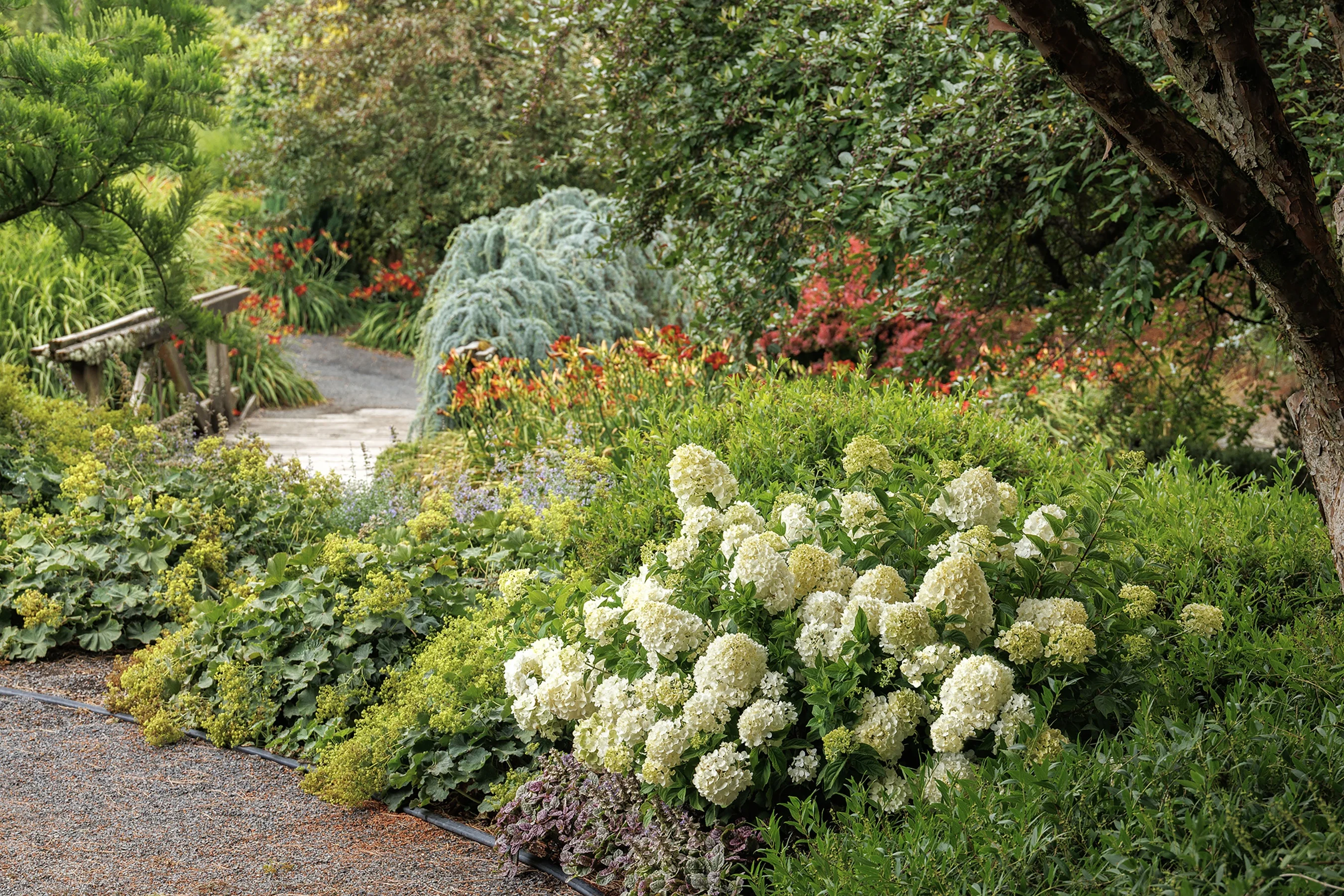 © Monrovia by Doreen Wynja