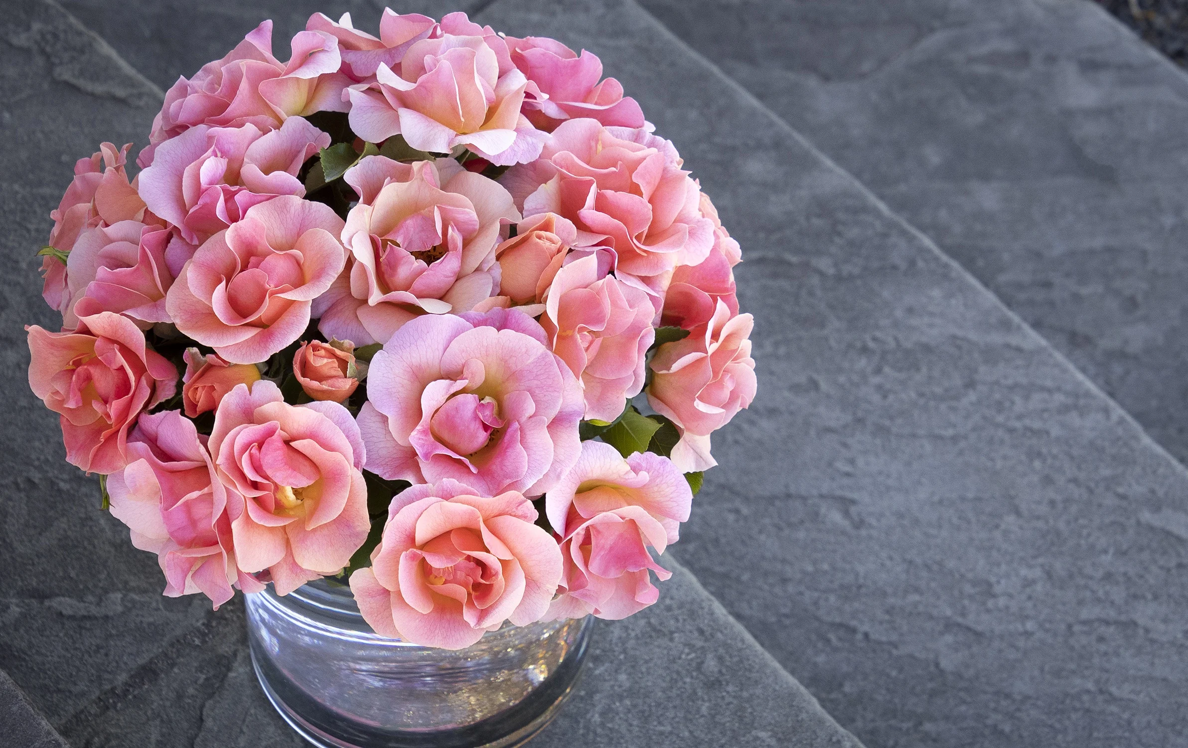 ©Monrovia by Doreen Wynja