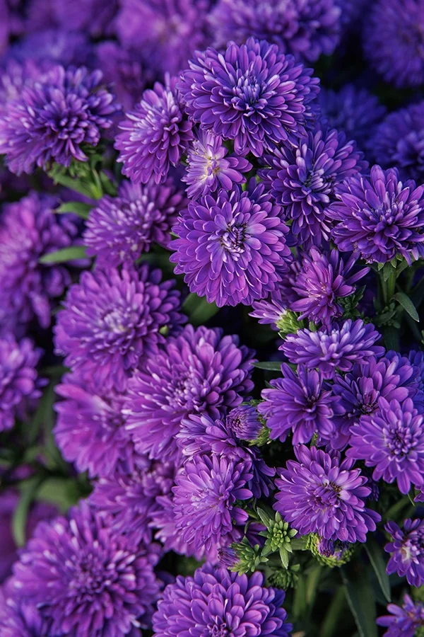 ©Monrovia, by Doreen Wynja