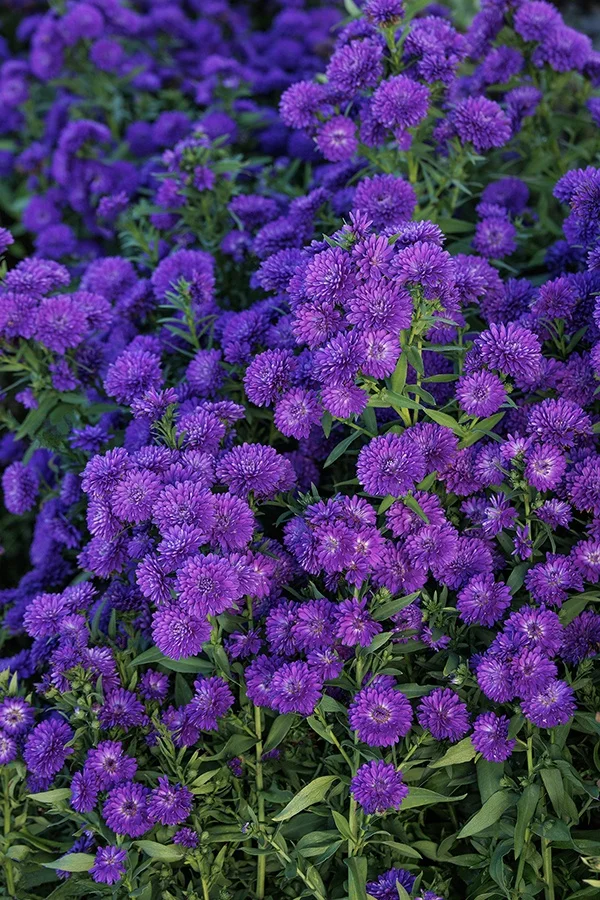 ©Monrovia, by Doreen Wynja