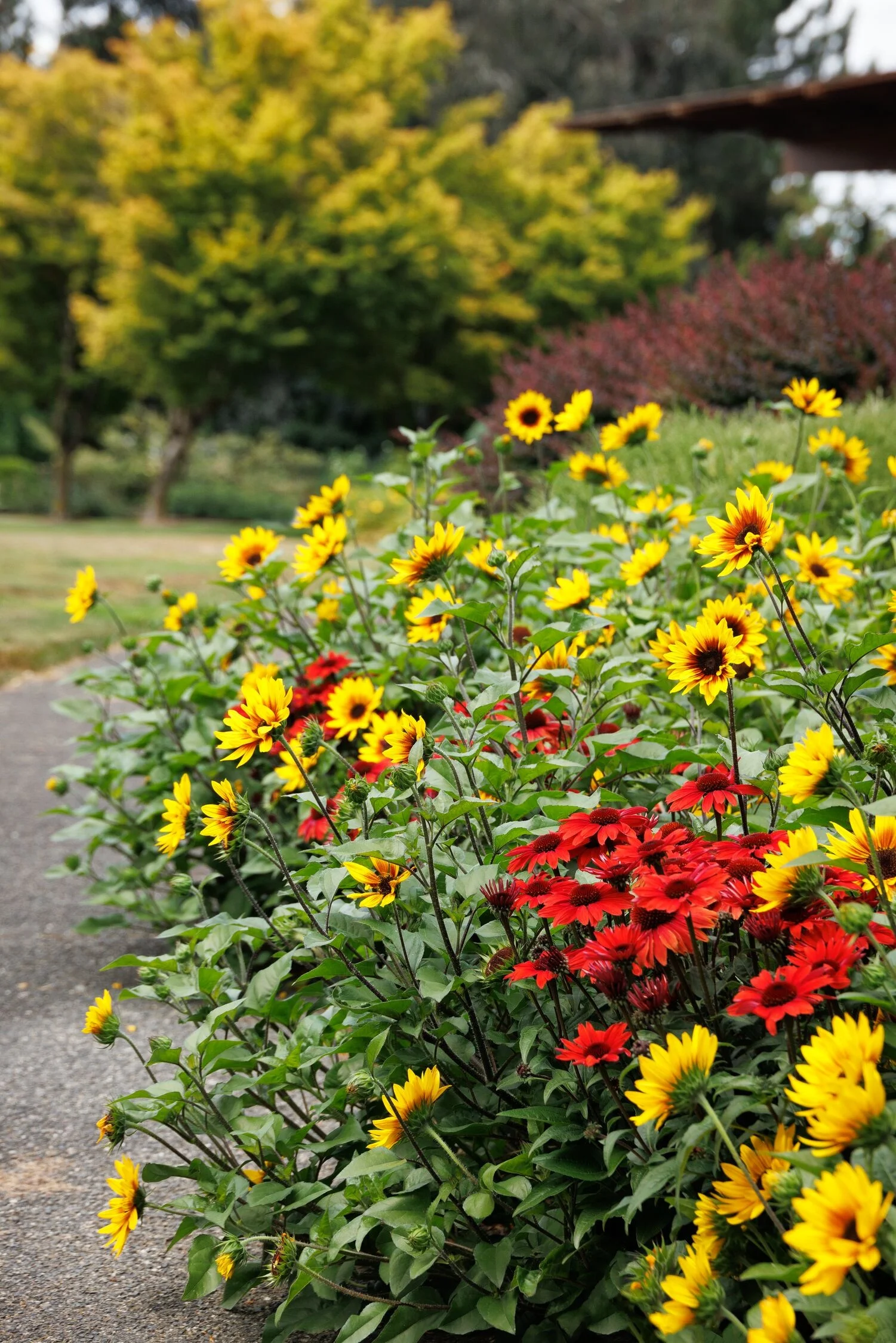 © Monrovia by Doreen Wynja