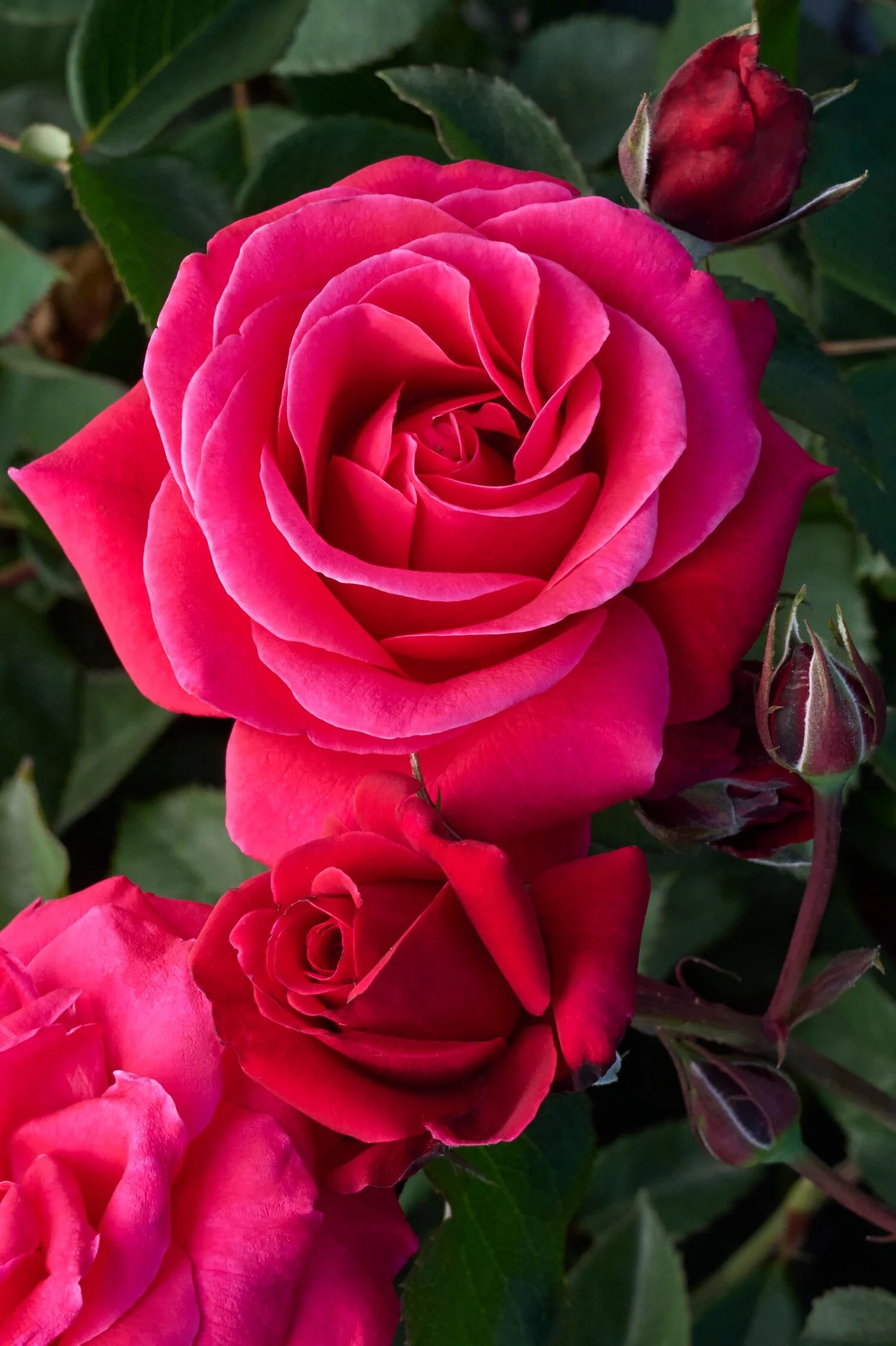 ©Monrovia, by Doreen Wynja