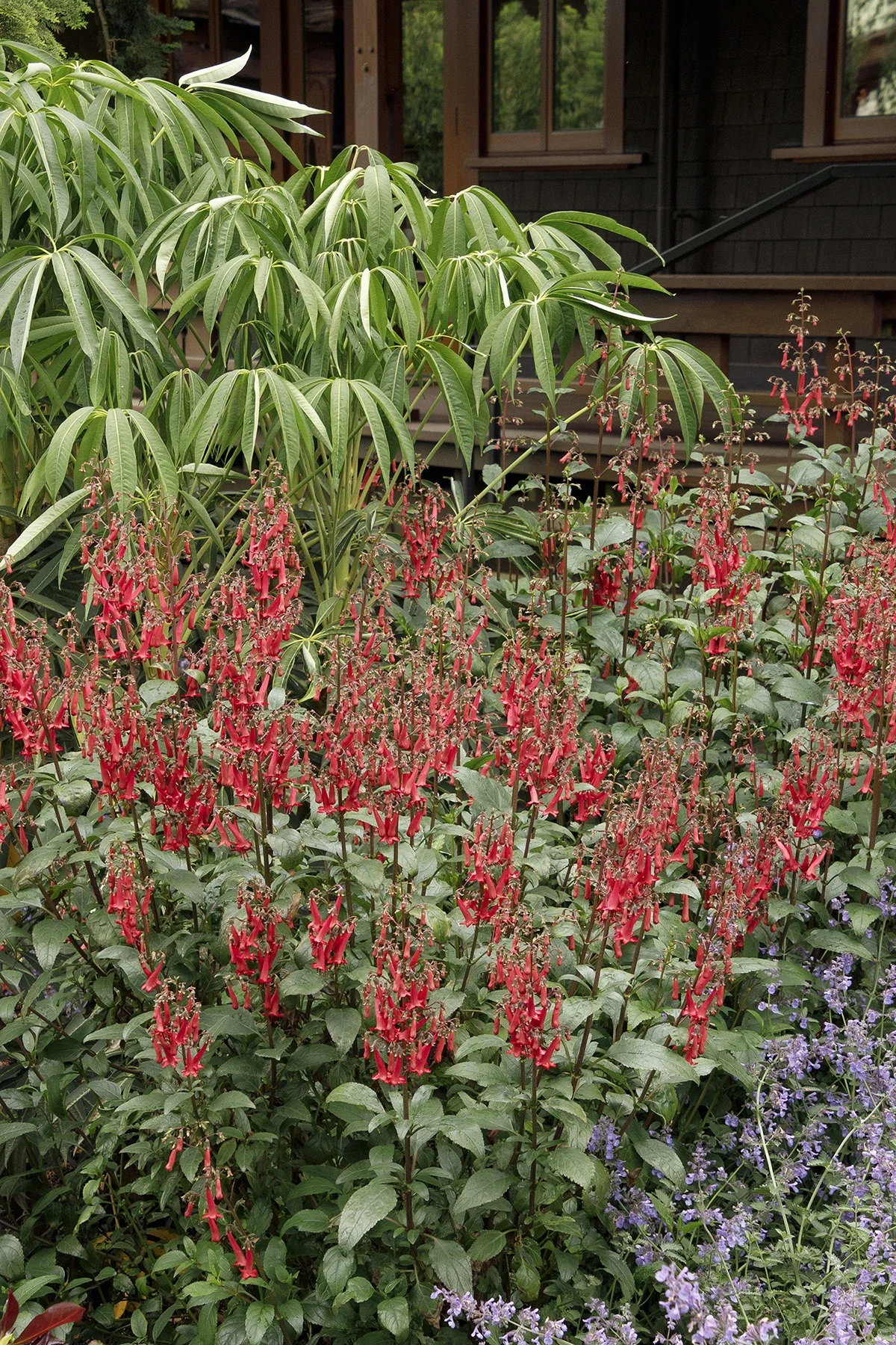 © Monrovia by Doreen Wynja