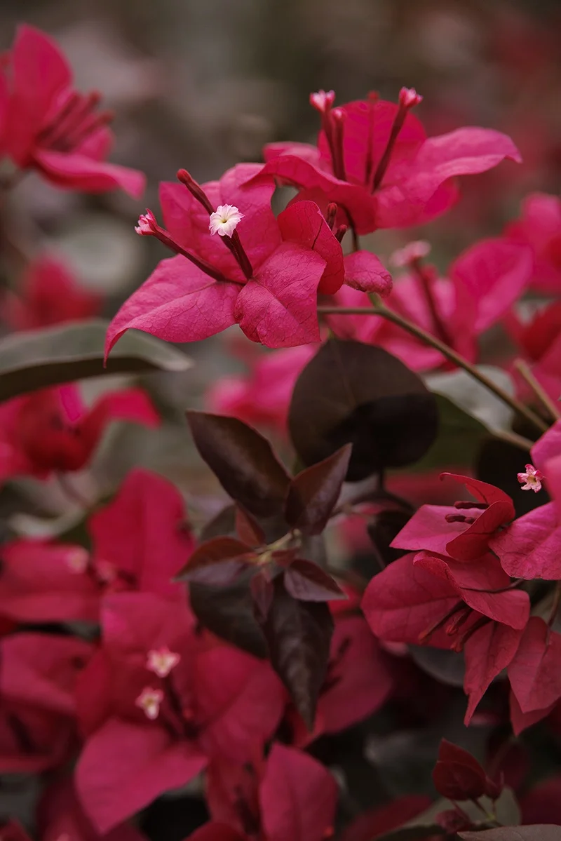 ©Monrovia, by Doreen Wynja