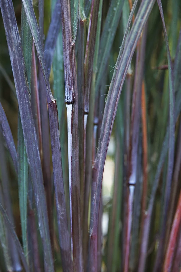 ©Monrovia, by Doreen Wynja