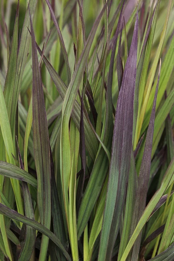 ©Monrovia, by Doreen Wynja