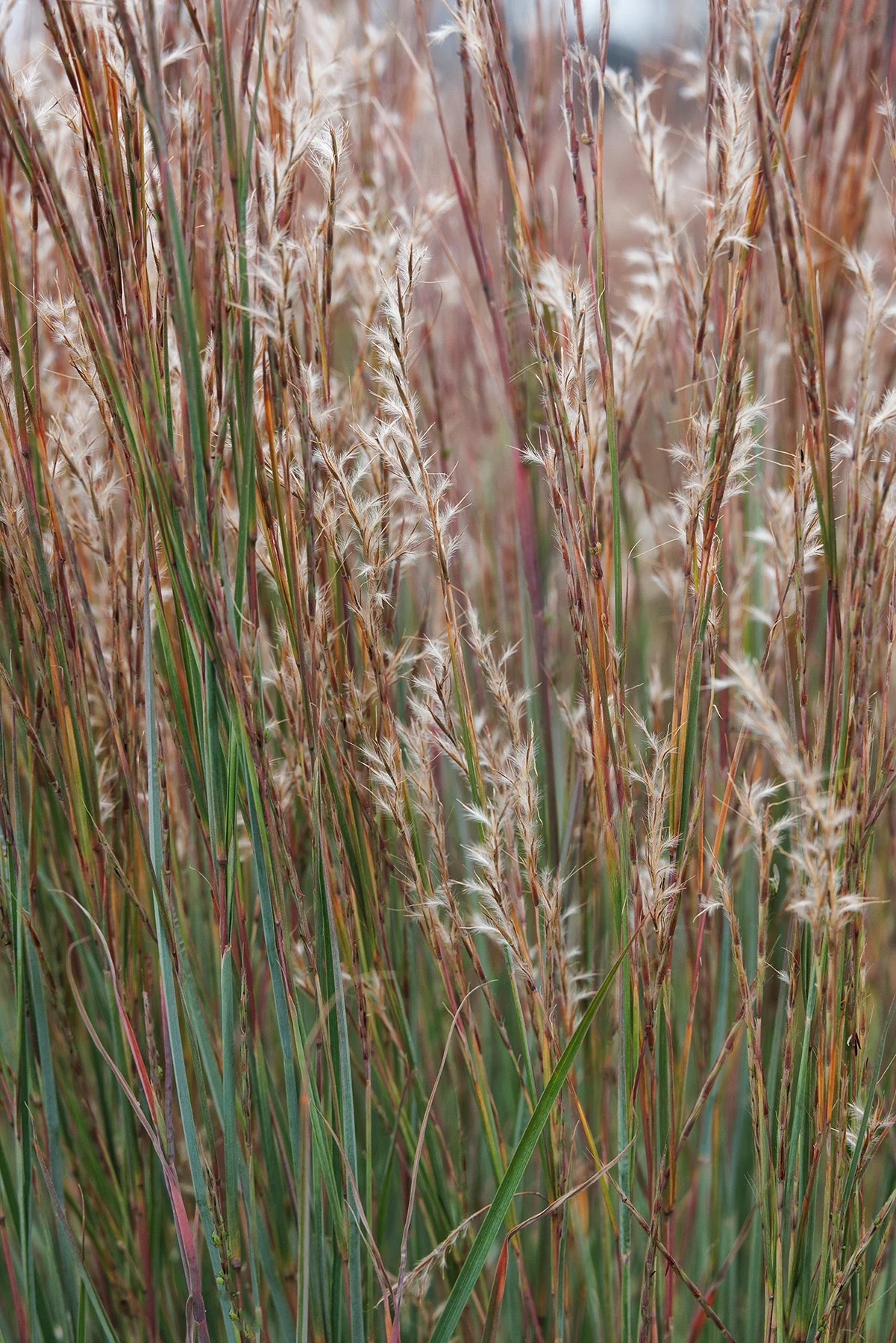 © Monrovia by Doreen Wynja