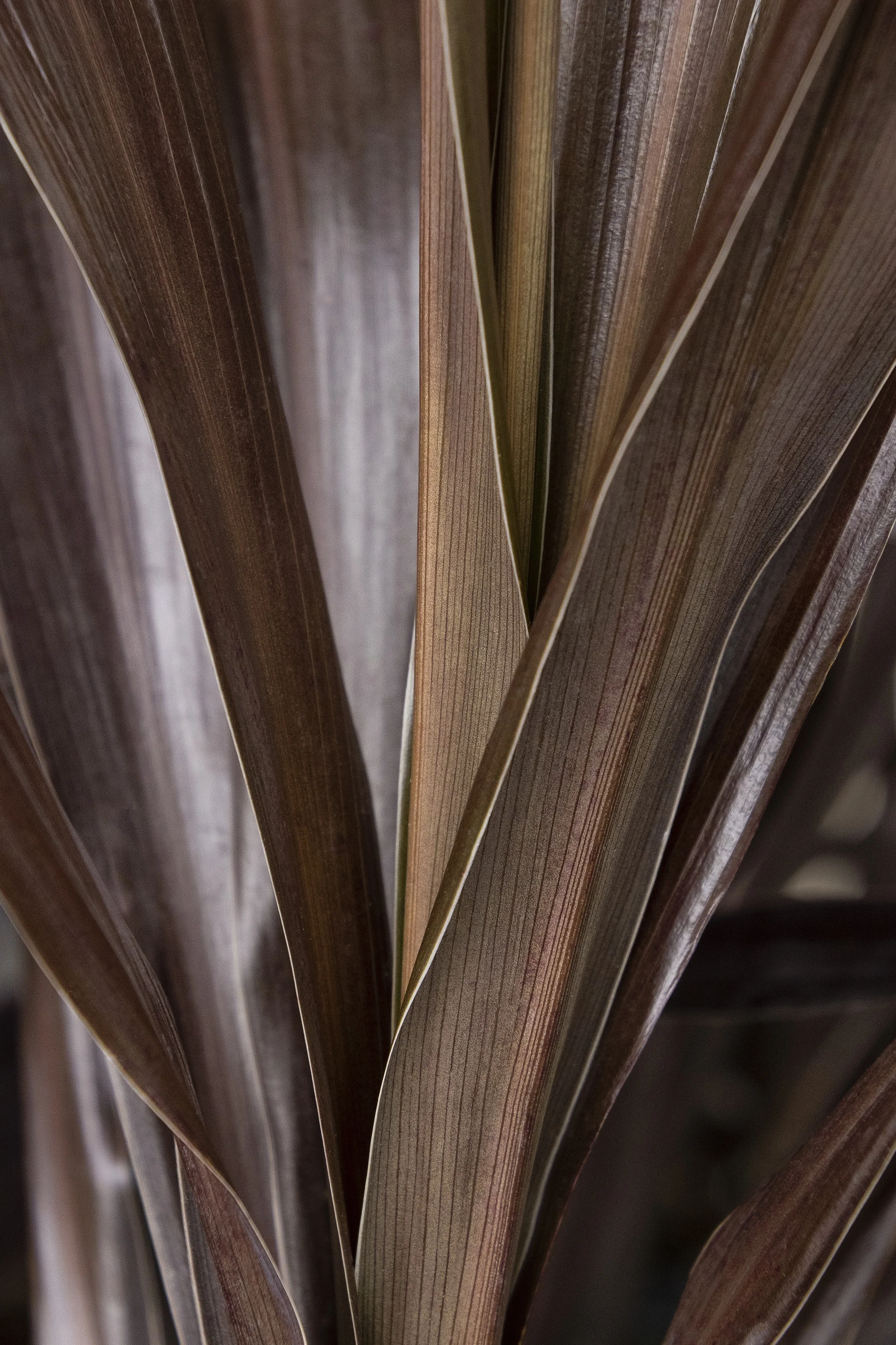 © Monrovia by Doreen Wynja