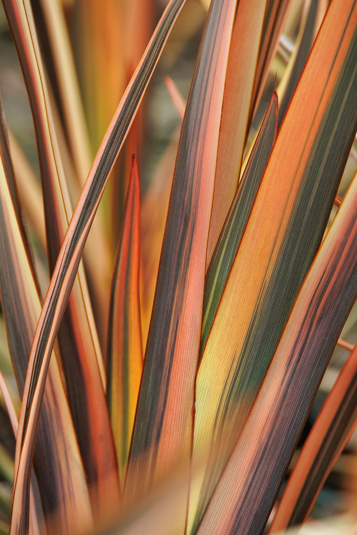 © Monrovia by Doreen Wynja