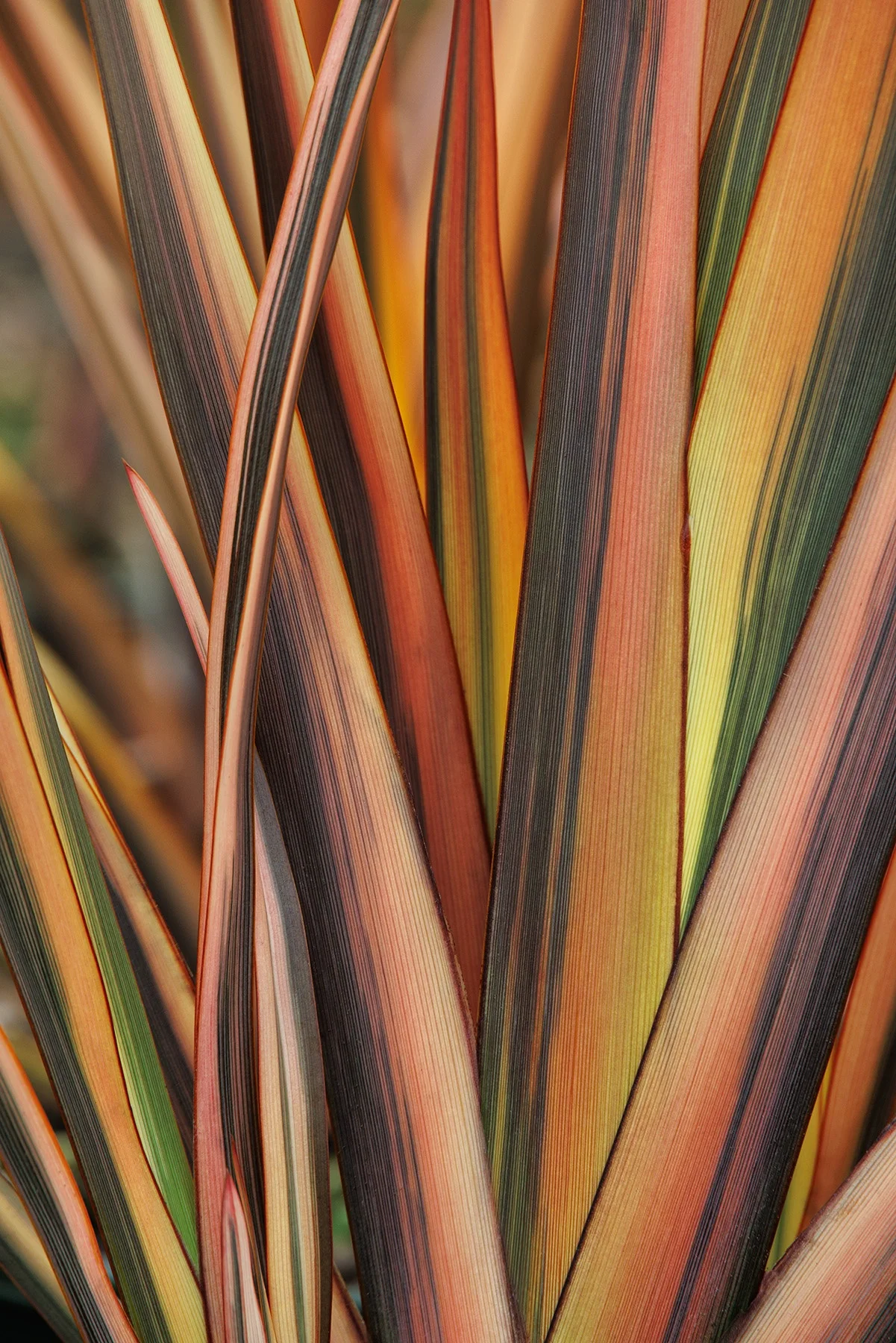 © Monrovia by Doreen Wynja