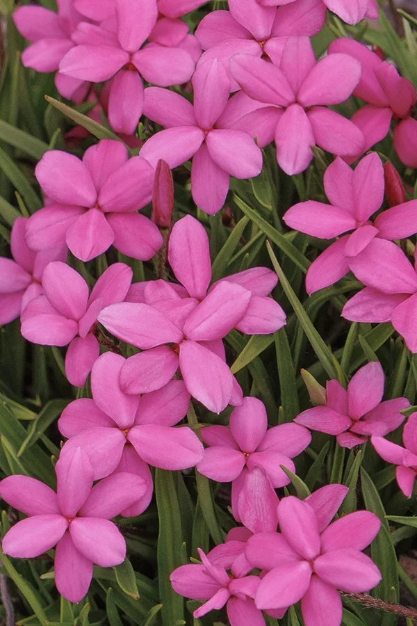 ©Monrovia, by Doreen Wynja