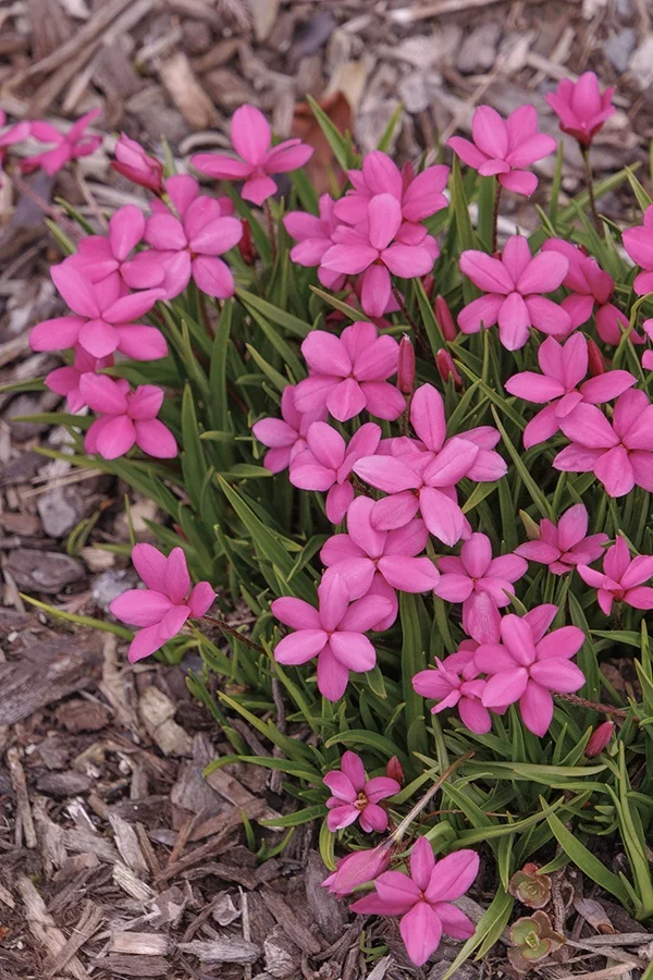 ©Monrovia, by Doreen Wynja