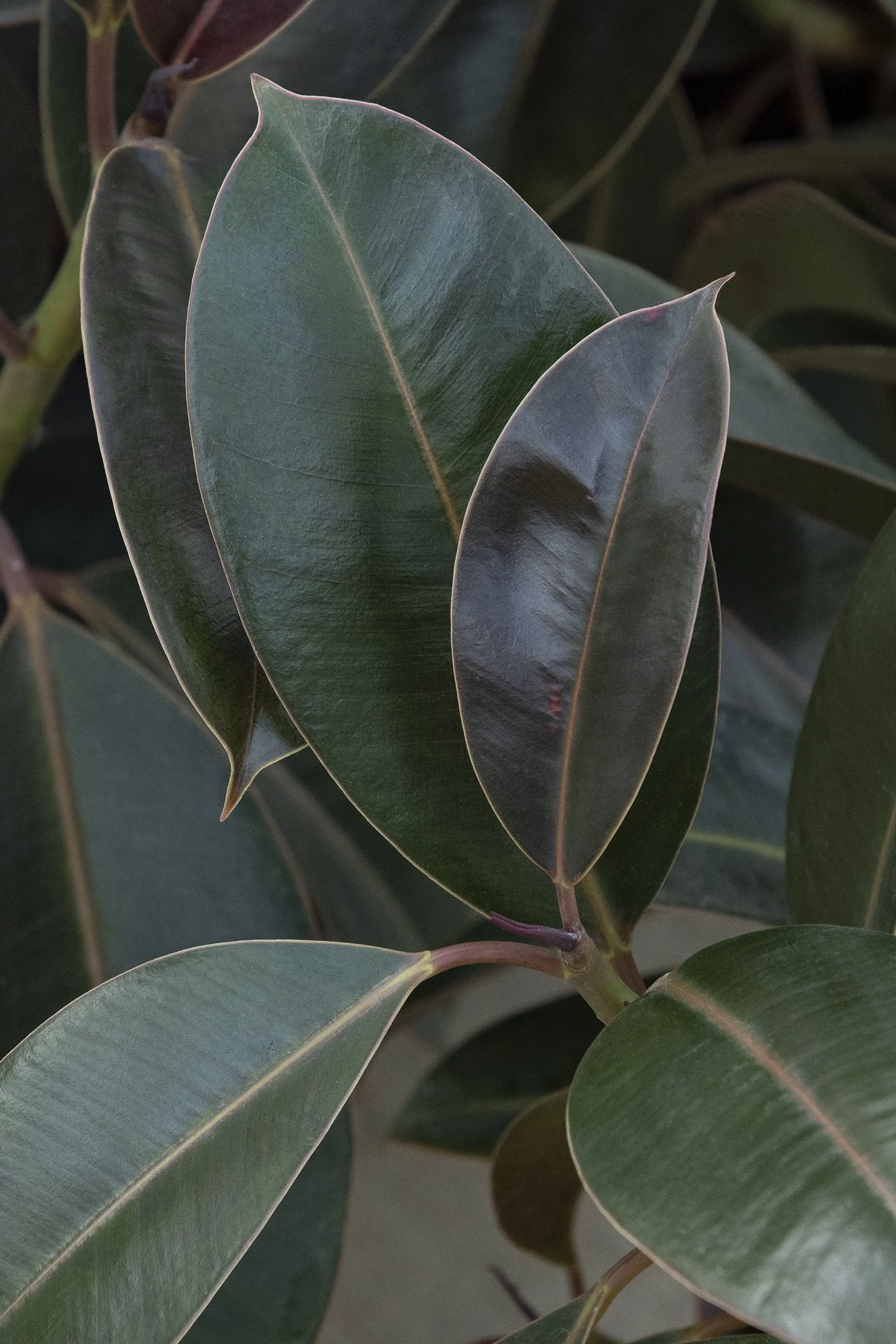 ©Monrovia, by Doreen Wynja