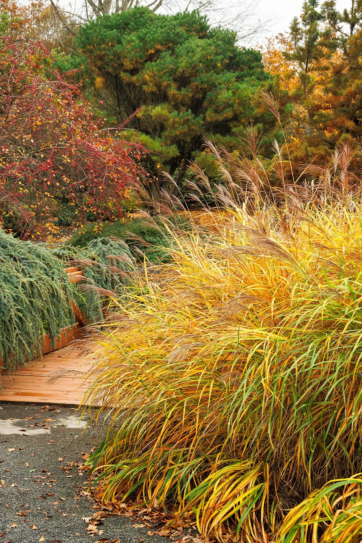 © Monrovia by Doreen Wynja