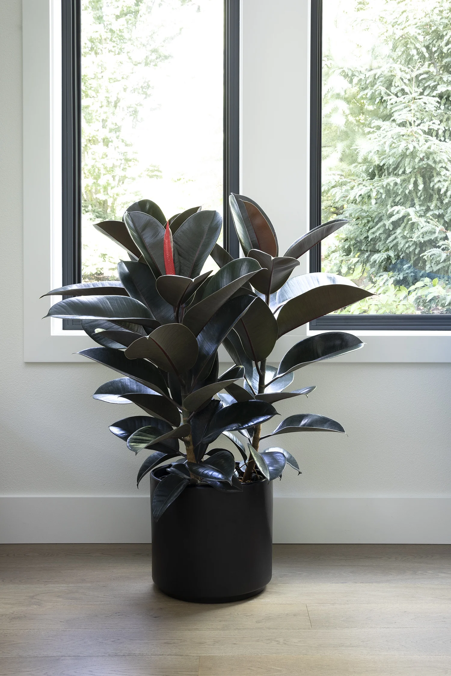 ©Monrovia, by Doreen Wynja