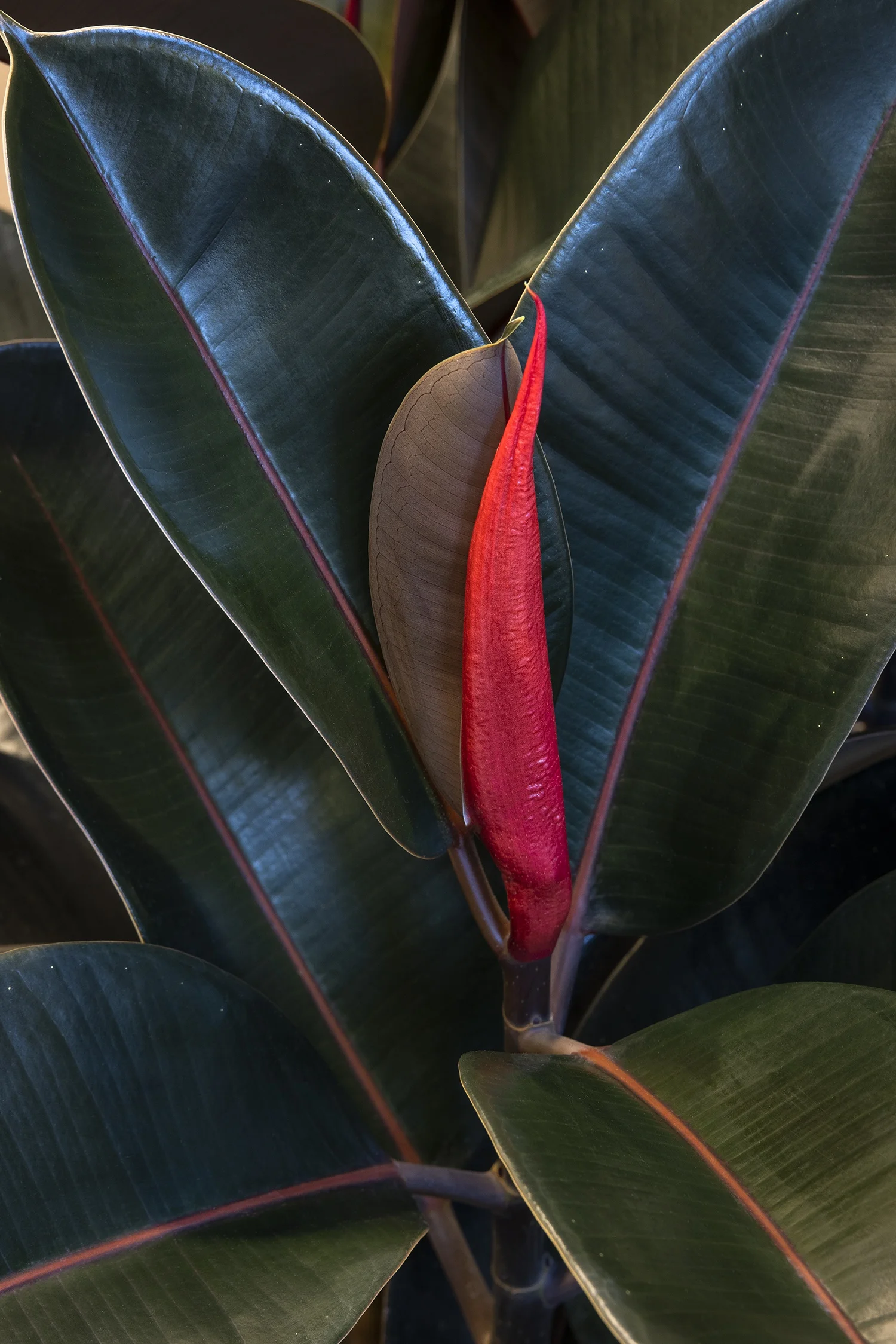 ©Monrovia, by Doreen Wynja