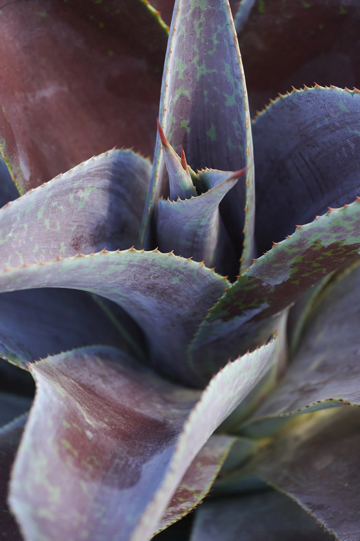 ©Monrovia, by Brandon Friend-Solis