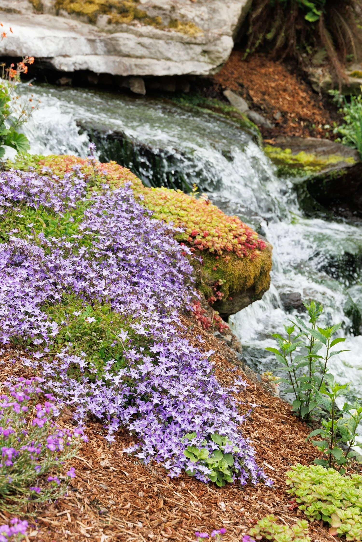 ©Monrovia, by Doreen Wynja