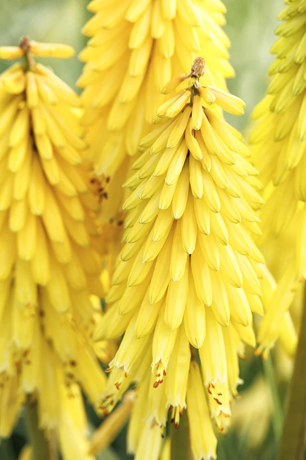 ©Monrovia, by Doreen Wynja